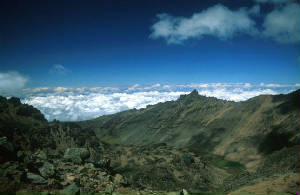 mtkenya.jpg